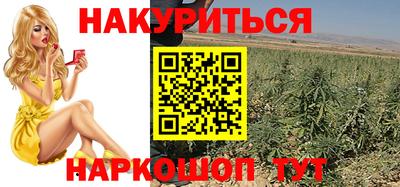 стаф Кулебаки
