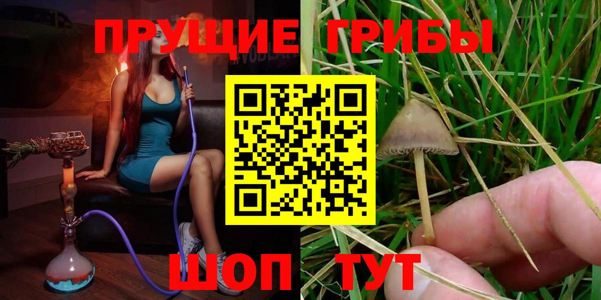 Псилоцибиновые грибы мухоморы Грозный