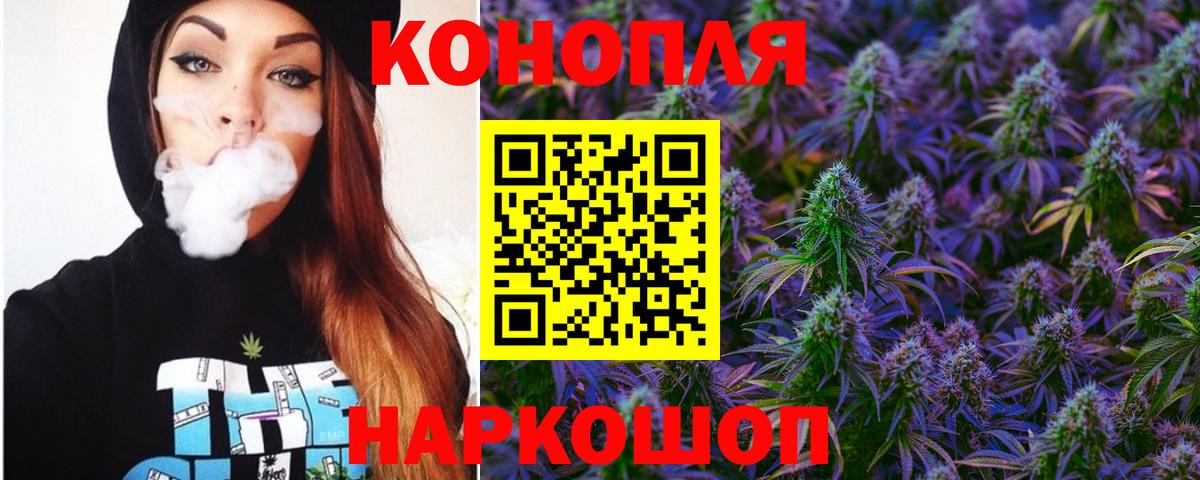 Конопля OG Kush Грозный